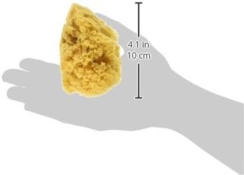 ROYAL BRUSH Natural Ocean Artist Sponges, 3 Silk/1 Jumbo, 4/pkg