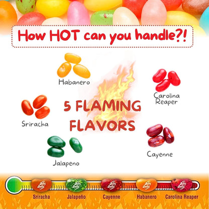 Jelly Belly Bean Boozled Fiery Five (3 pack) and Mini Candy Disepenser (7.5cm x 2.5cm) - Includes 3 bags of 1.9 oz Fiery Five Jellybeans Candy and Small Travel Case for Athletes, Runners, Travel