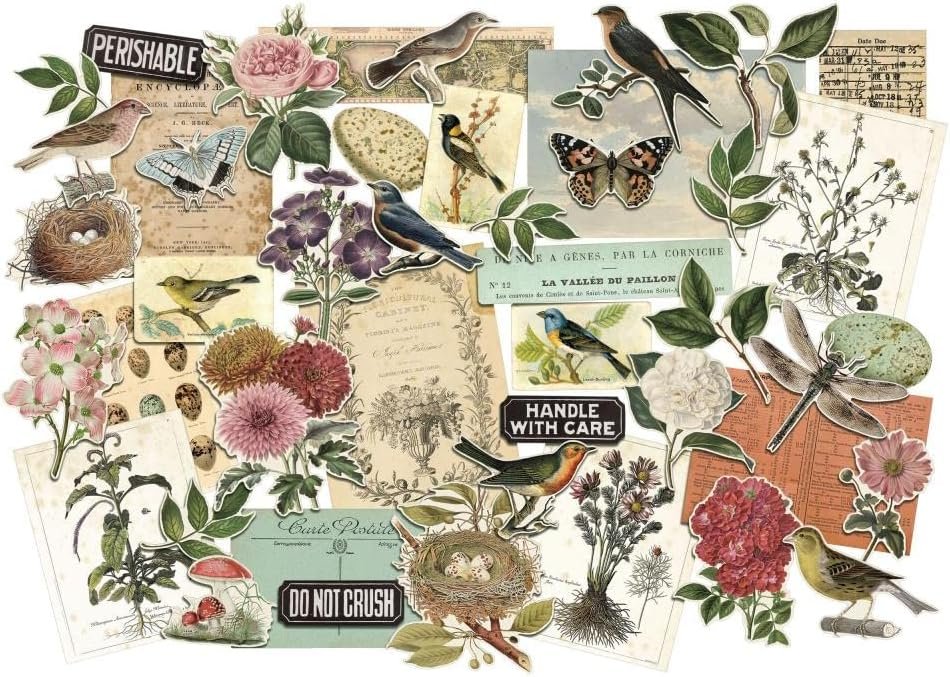 Tim Holtz Idea-Ology 2023 Palette Ephemera Pack & Organic Layers - 2 Item Bundle