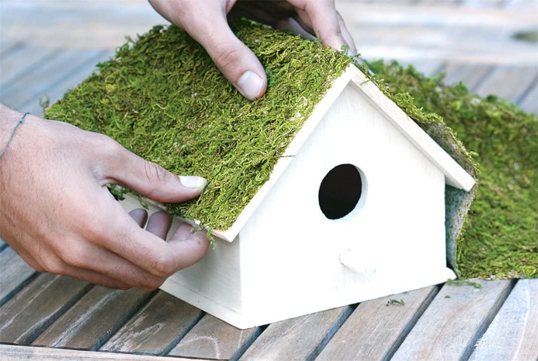 SuperMoss (22420) InstantGreen Moss Mat, Fresh Green, 18 x 16""