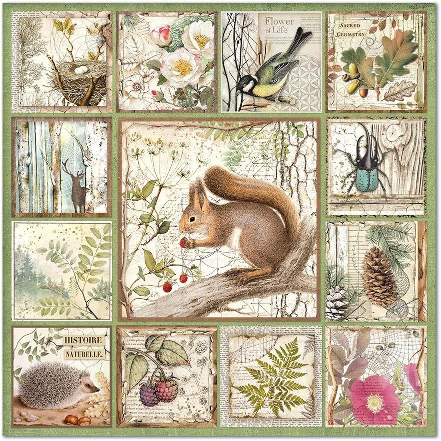 STAMPERIA INTERNATIONAL, KFT PAPER PAD 12X12 10PK FOREST, 30.5 x 30.5 (12" x 12"), Multicoloured