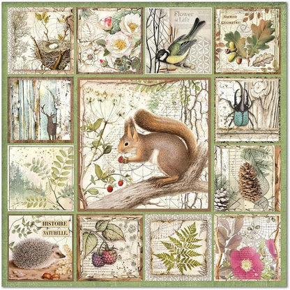 STAMPERIA INTERNATIONAL, KFT PAPER PAD 12X12 10PK FOREST, 30.5 x 30.5 (12" x 12"), Multicoloured