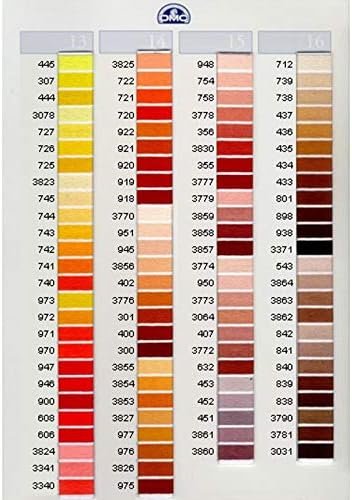 Dmc 6-Strand Embroidery Cotton 8.7yd-Medium Topaz