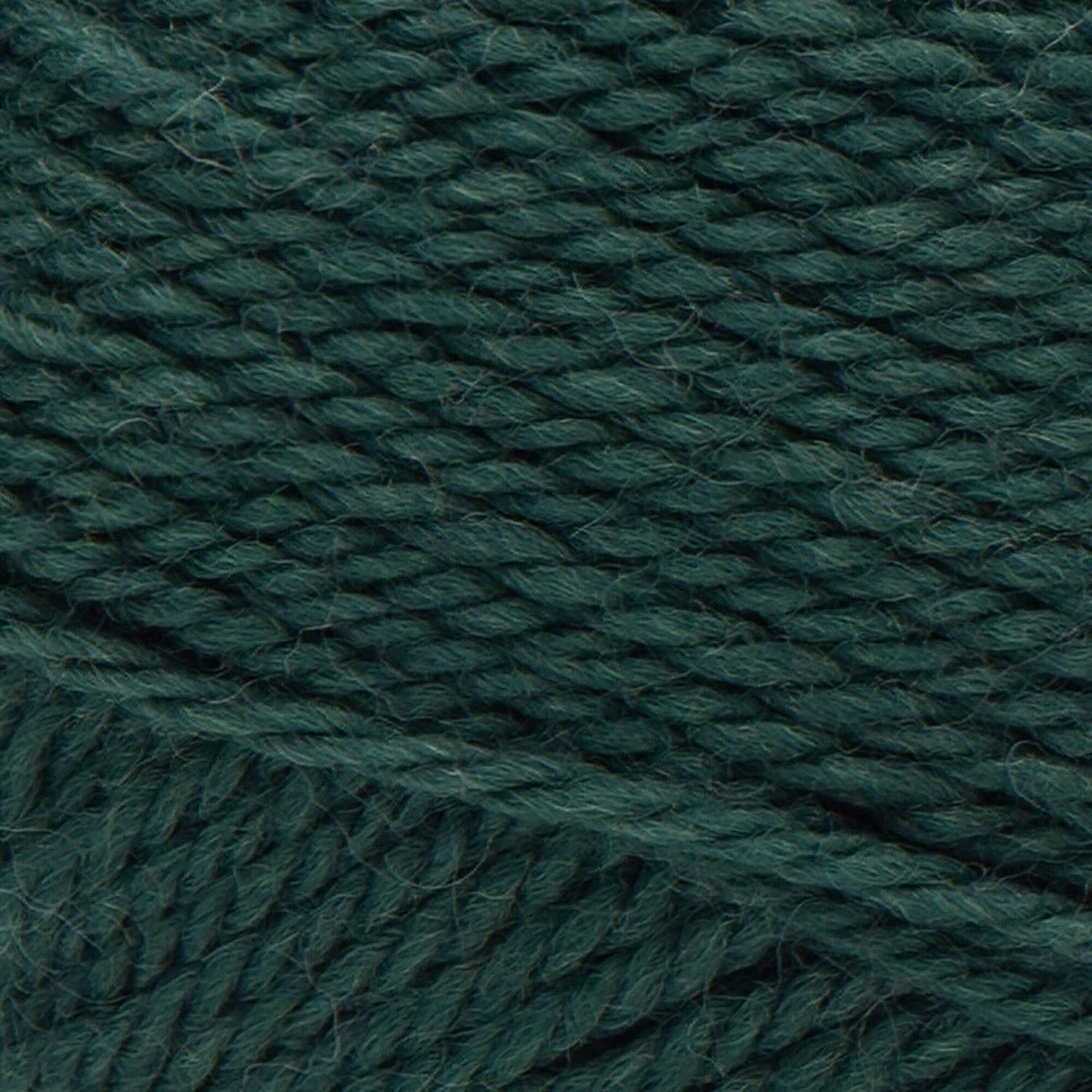 Patons Classic Wool Yarn, Pine