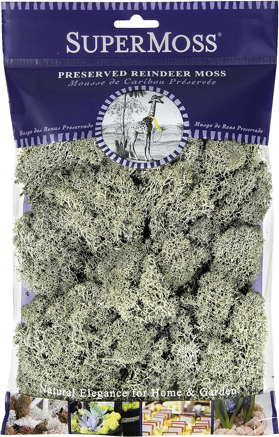 SuperMoss Reindeer Moss Preserved