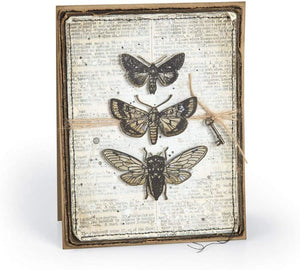 Tim Holtz Entomology - Stampers Anonymous Cling Stamps and Sizzix Framelits Die Set - Two Item Bundle