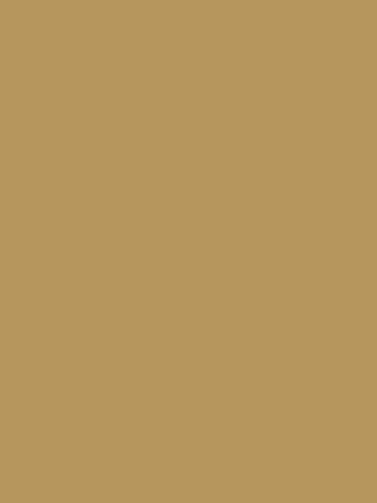 Design Master Design MSTR Metallic 14KT, 11 Ounce (Pack of 1), 14 KT Gold