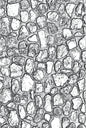 Sizzix 3-D Texture Fades Embossing Folder Mini Cobblestone by Tim Holtz, 665461, Multicolor