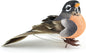 Touch of Nature 1-Piece Mushroom/Feather American Robin on Clip for Arts and Crafts, 4-Inch, Natural