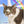 Load image into Gallery viewer, Accoutrements Inflatable Unicorn Horn for Cats
