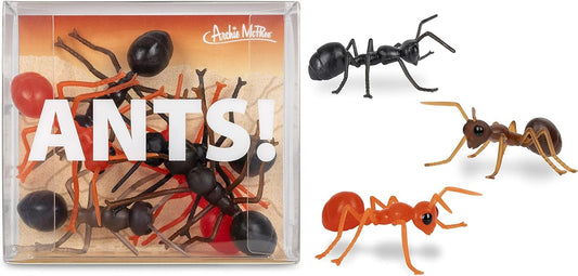 Mcphee Accoutrements Archie Funny Gift Box of Novelty Ants (6 Pack)