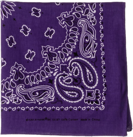 Carolina HAV-A-Hank Paisley Bandanna 22"X22", Purple