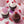 Load image into Gallery viewer, Wilton Jumbo Heart Sprinkles - 3.25 oz.
