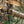 Load image into Gallery viewer, Duck Brand Printed Duct Tape, Single Roll, Realtree Camouflage
