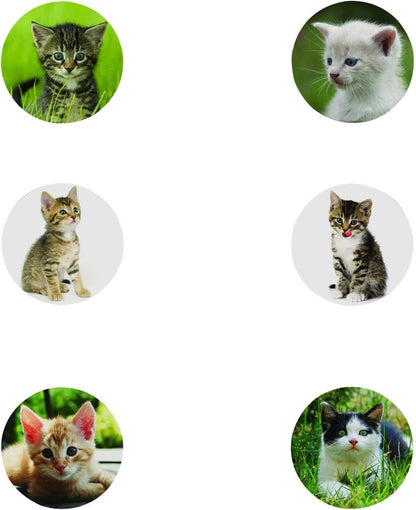 Realistic Cat Stickers (Roll of 100) – 1.5” Round, 6 Cute Photos - Great for Kids, Teachers, Party Favors, Rewards, Craft Projects, Water Bottles, Scrapbooks, Calendars, Planners, and Journals