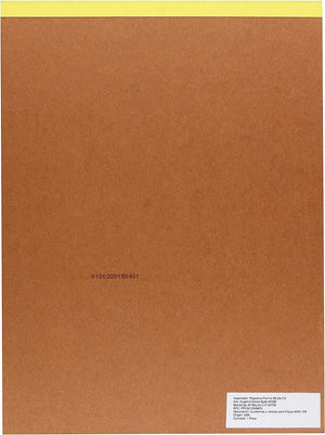 Strathmore 300 Series Bristol Paper Pad, Vellum, Tape Bound, 11x14 inches, 20 Sheets (100lb/270g) - Artist Paper for Adults and Students - Charcoal, Pen and Ink, Marker, and Pastel