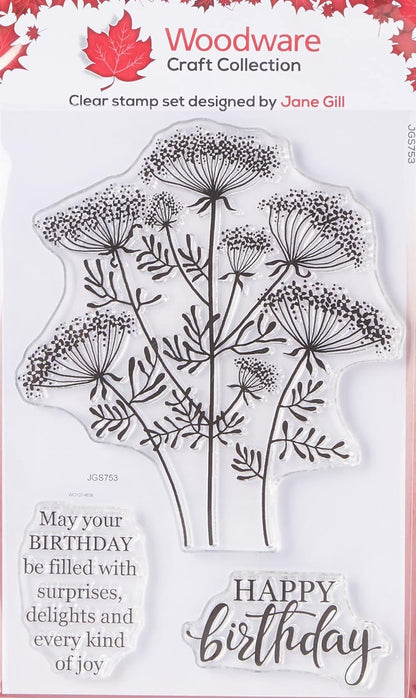 Woodware Clear Singles Queen Annes Lace 4 in x 6 in Stamp