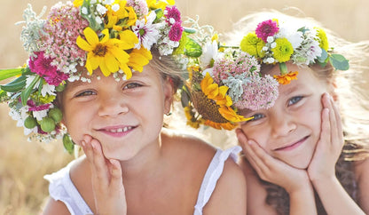 Design Master 660 Clear Life