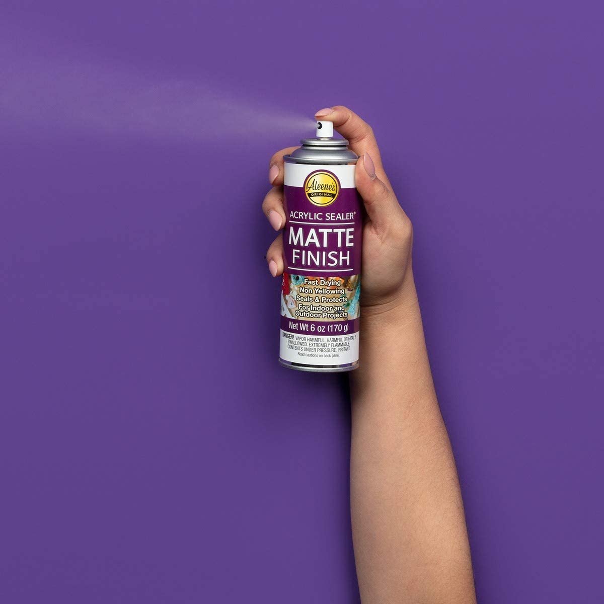 Aleene's 26413 Spray Matte Finish 6oz Acrylic Sealer, Original Version