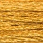 Dmc 6-Strand Embroidery Cotton 8.7yd-Medium Topaz